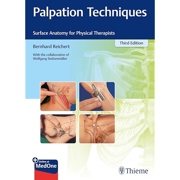A Clinical Guide to Surface Palpation: The Art and Science